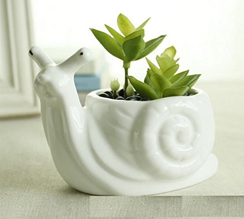 Adorable Animal Shaped Succulent Planter - Cute Snail Flower Pot for Home & Office Desk Decor | Perfect for Small Plants, Air Plants & Desk Organizer | Ideal Gift for Plant Lovers & Home Decor Enthusiasts