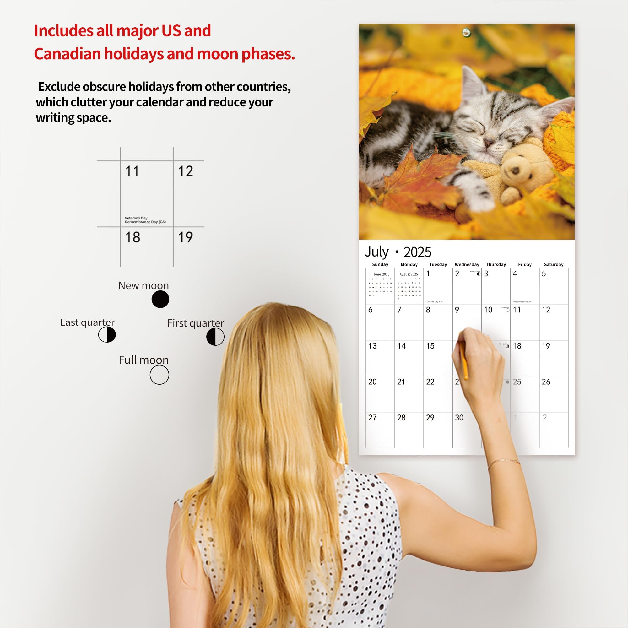 2025 Wall Calendar with Cute Cats & Kittens - January to December 2025, 12