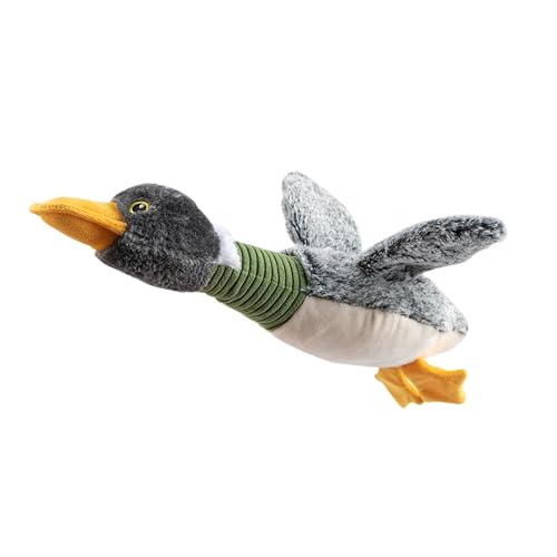 Mallard Duck Wing (Gray)