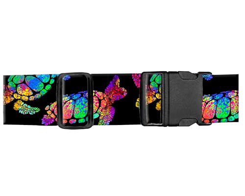 Cute Colorful Tirtles