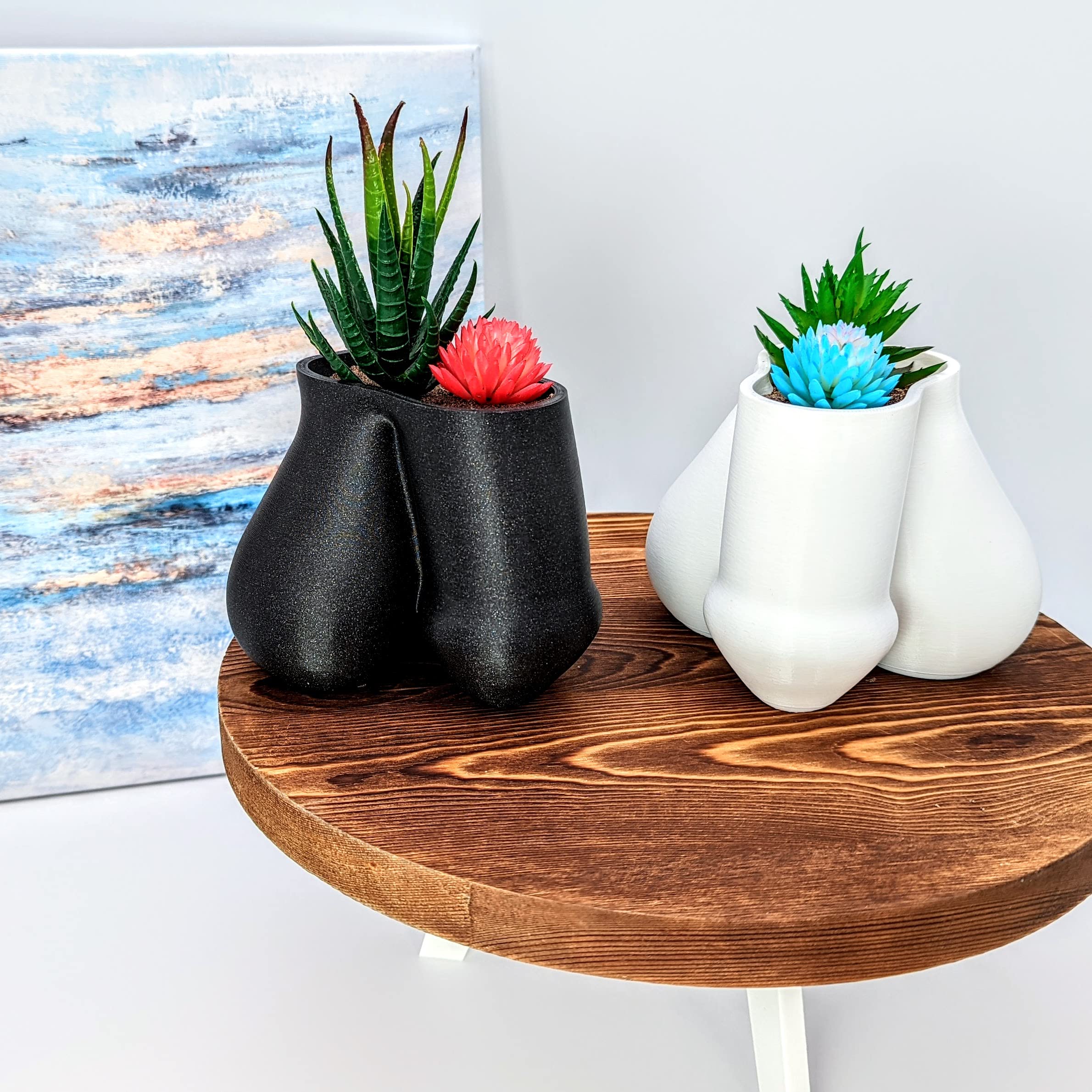 Sparkle Black Succulent Penis Planter Pot - Male Body Anatomy Planter with Balls - Unique Stylish Home & Office Decor for Succulents, Air Plants or Small Flowers - Funny Gift for Bachelor Parties, Adult Humor Gifts