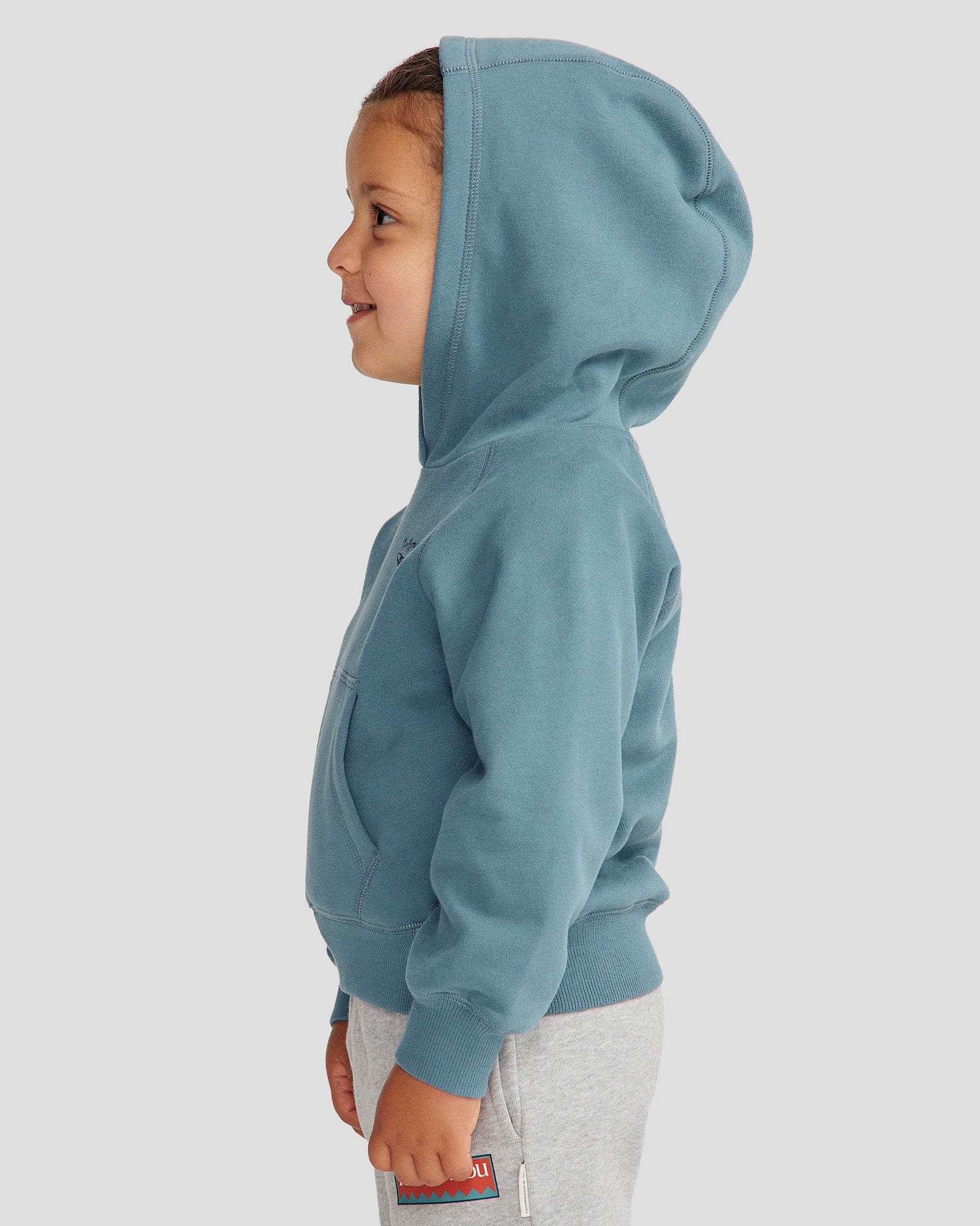 Kids' Lizard Hoodie - Soft Washed Blue Pullover for Boys & Girls | Perfect for Outdoor Play & Cool Weather