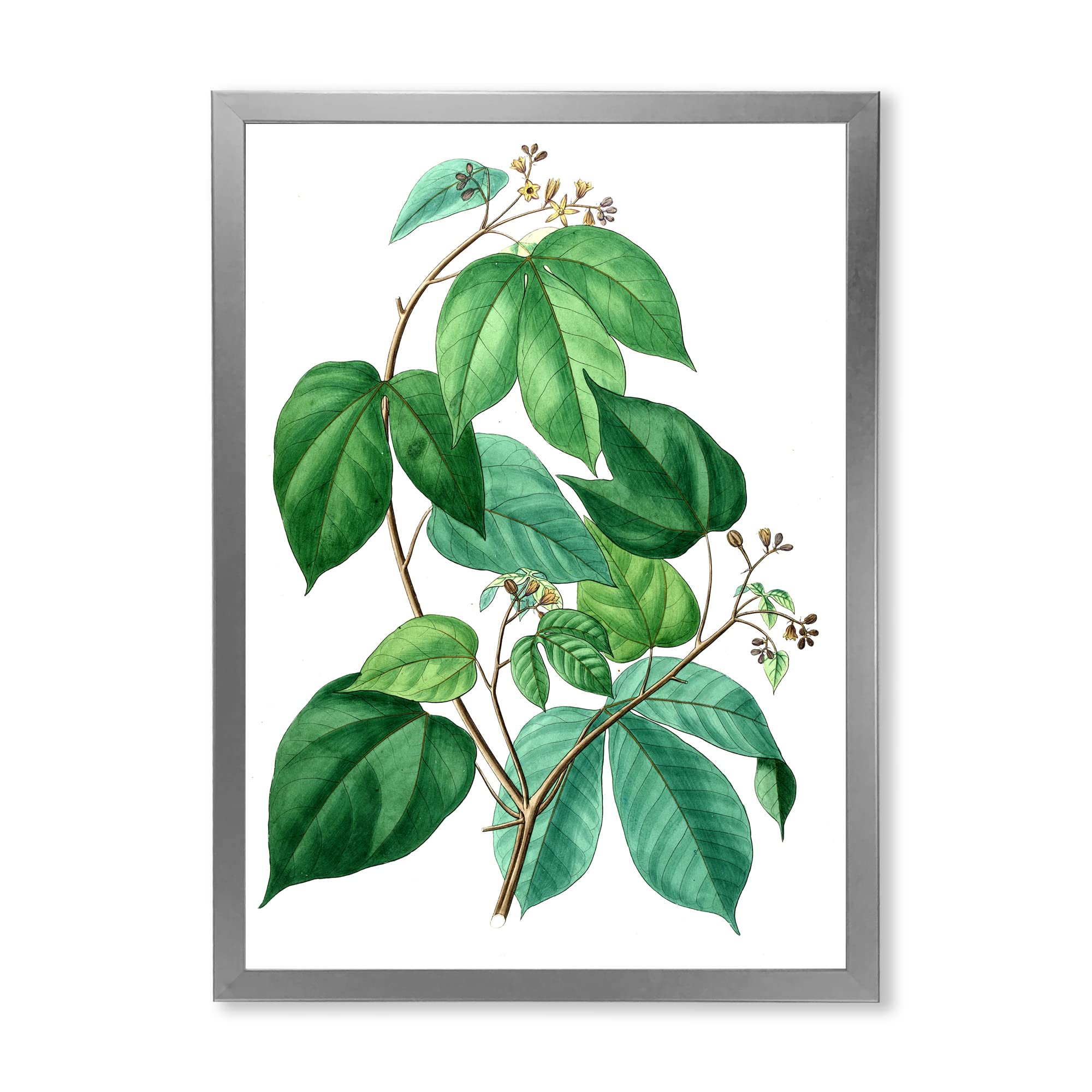 Vintage Green Leaves Plants III Traditional Framed Wall Art - Botanical Home Decor for Living Room, Bedroom & Office - Perfect for Nature Lovers & Interior Design