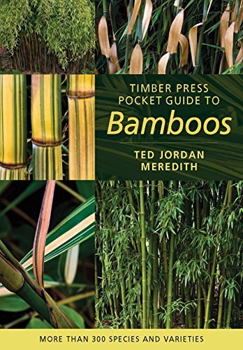 Timber Press Pocket Guide to Bamboos by Ted Jordan Meredith | Comprehensive Bamboo Identification & Care | Perfect for Gardeners, Landscapers & Bamboo Enthusiasts