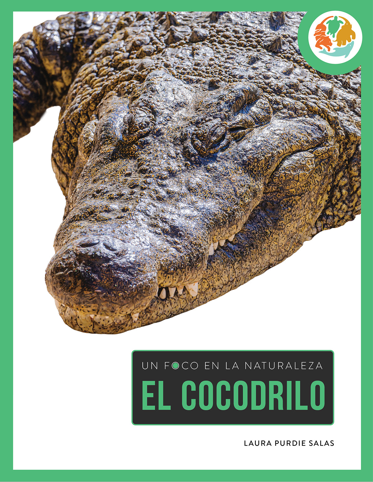 Crocodile Plush Toy - Soft & Cuddly Stuffed Animal for Kids, Perfect for Playtime, Gifts & Nursery Decor