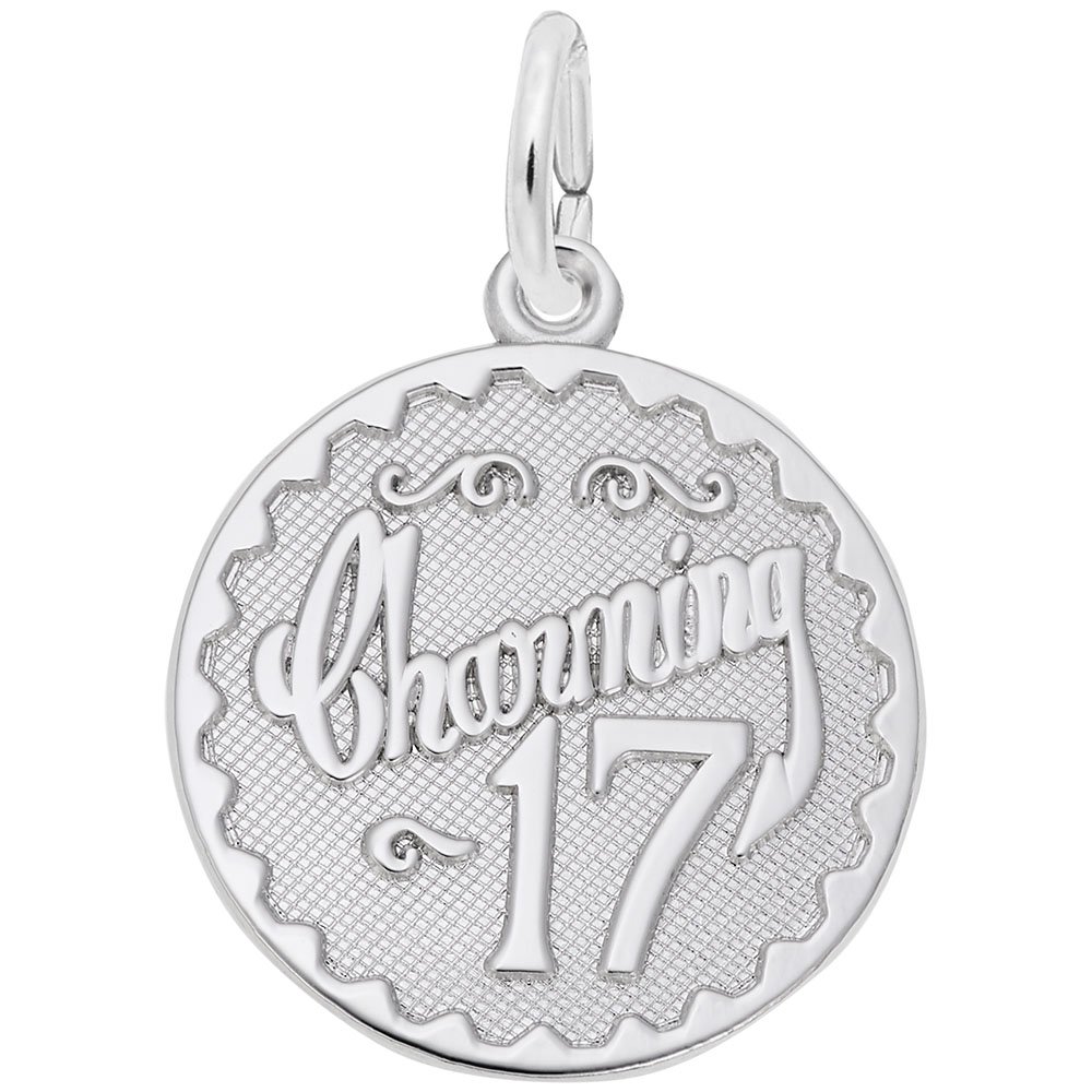 17-Piece Charming Charms Set for Bracelets & Necklaces - Perfect for DIY Jewelry Making & Personalized Gifts