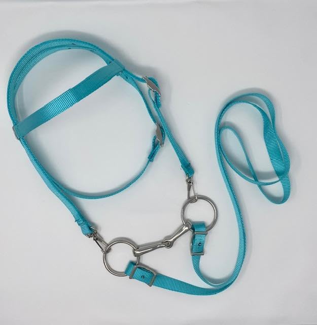 Miniature Horse & Small Pony Bareback Saddle Set for Kids - Turquoise Zebra Stripe Design with Free Snap-On Bit & Upgraded Felt Cinch | Perfect for Riding Lessons, Trail Rides & Equestrian Training