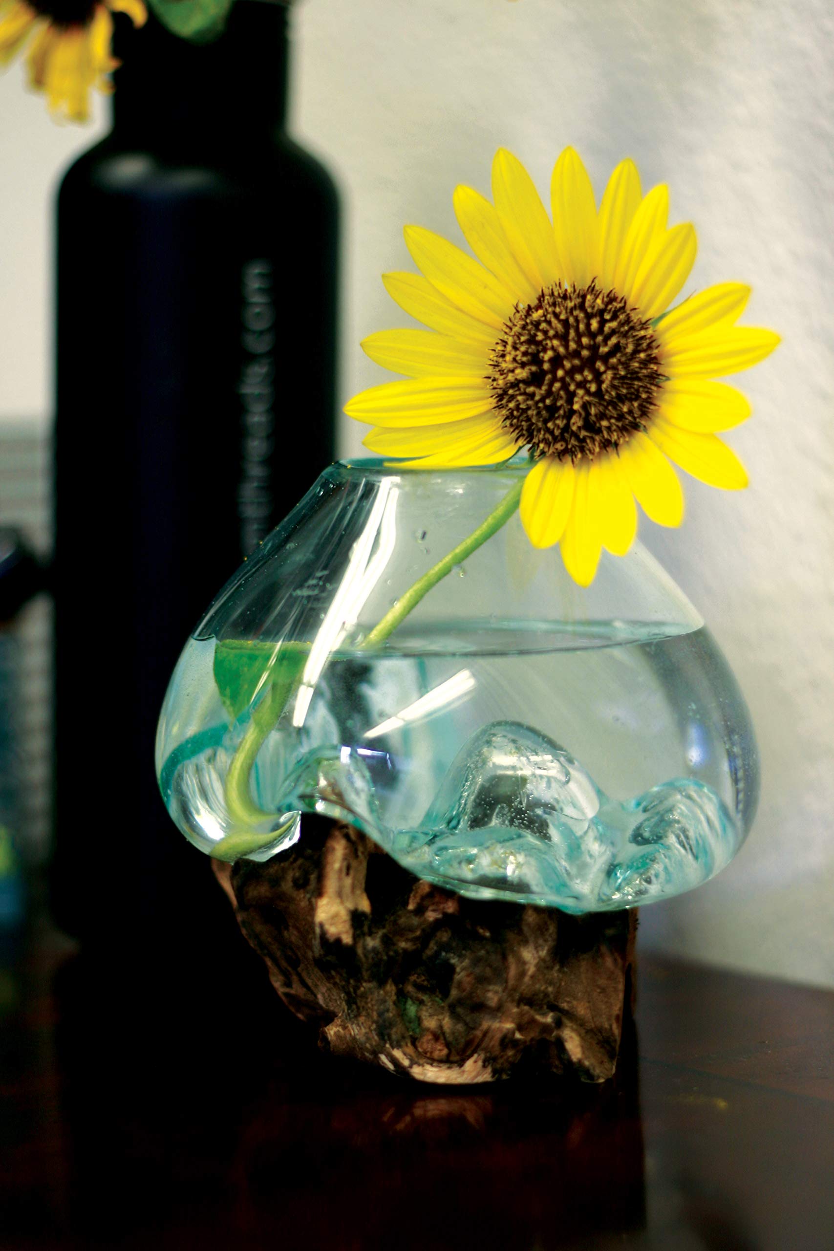 Eco-Friendly Molten Glass & Wood Terrarium for Plants – 4.5