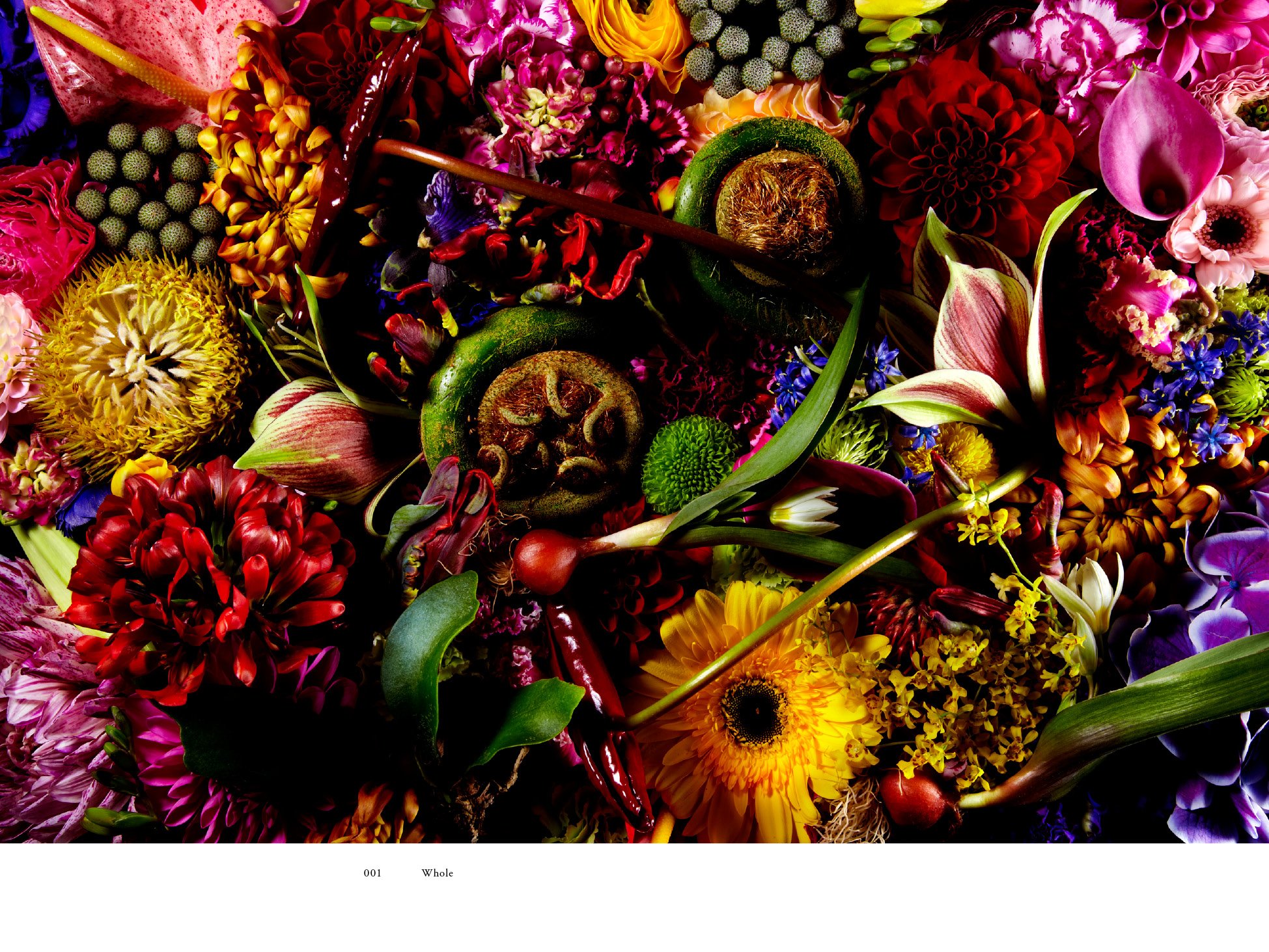 Encyclopedia of Flowers - Complete Plant Guide for Gardening, Botany & Floral Arrangements | Perfect for Home Gardeners, Students & Flower Enthusiasts