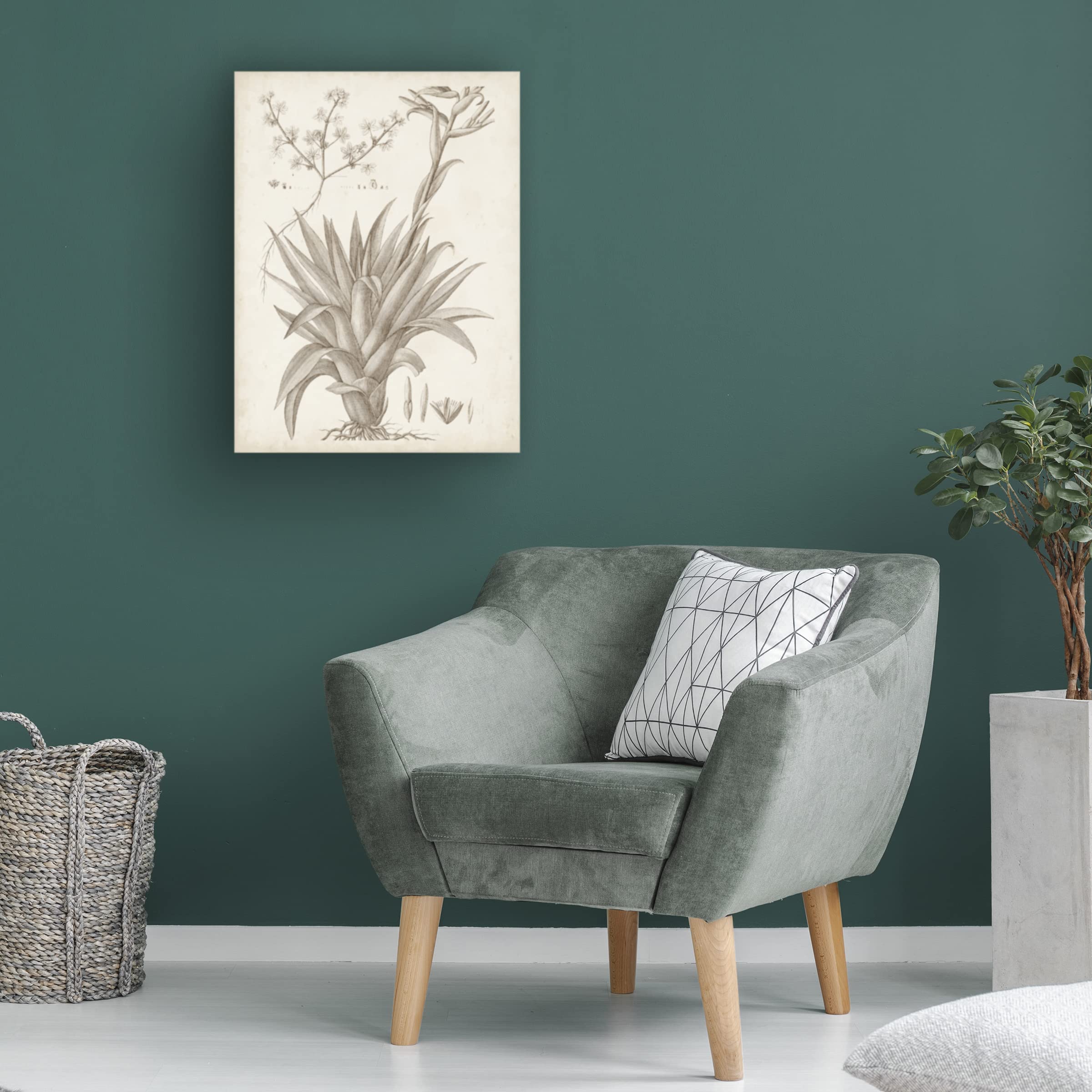 Sepia Exotic Plants IV Canvas Wall Art Print by Vision Studio - Botanical Home Decor for Living Room, Bedroom & Office