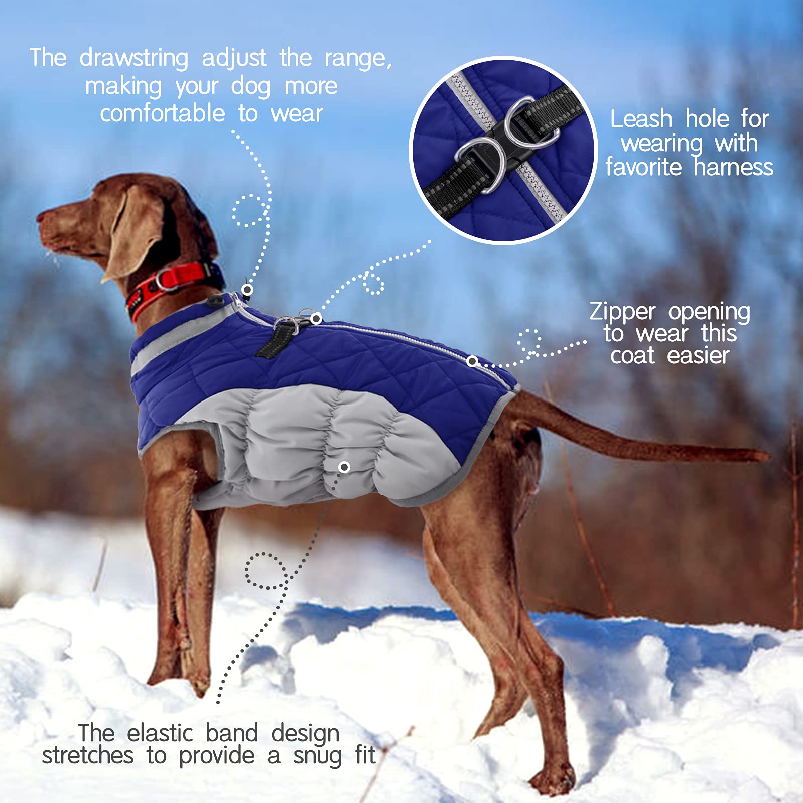 FUAMEY Winter Dog Coat - Warm Fleece Vest with Reflective Strips, Waterproof & Windproof Snow Jacket for Dogs, Built-in Harness & Zipper - Blue X-Large - Ideal for Cold Weather, Snow Adventures & Outdoor Walks