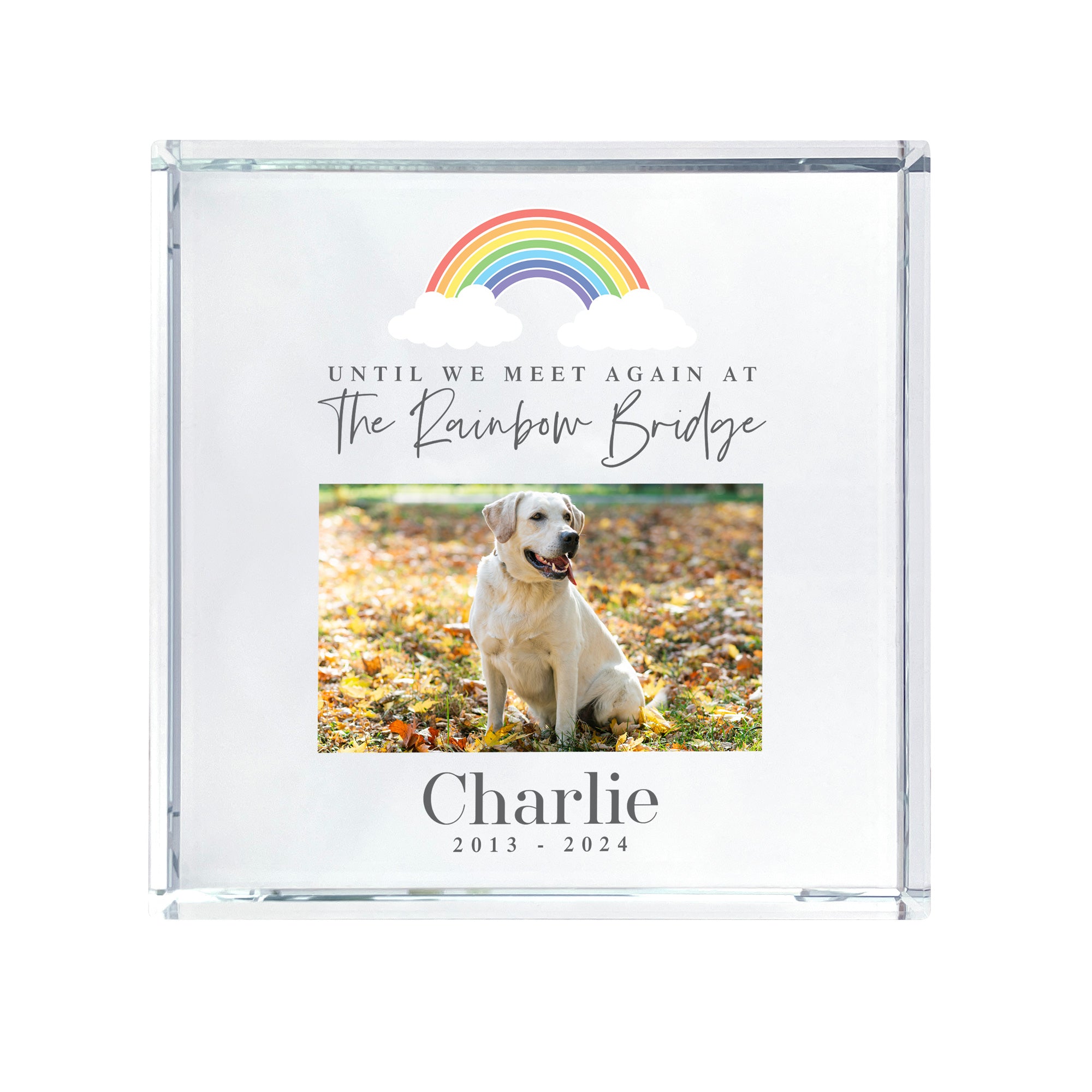Personalized Pet Memorial Keepsake - Custom Photo Crystal Token for Dogs & Cats - Perfect for Pet Loss Remembrance & Sympathy Gifts