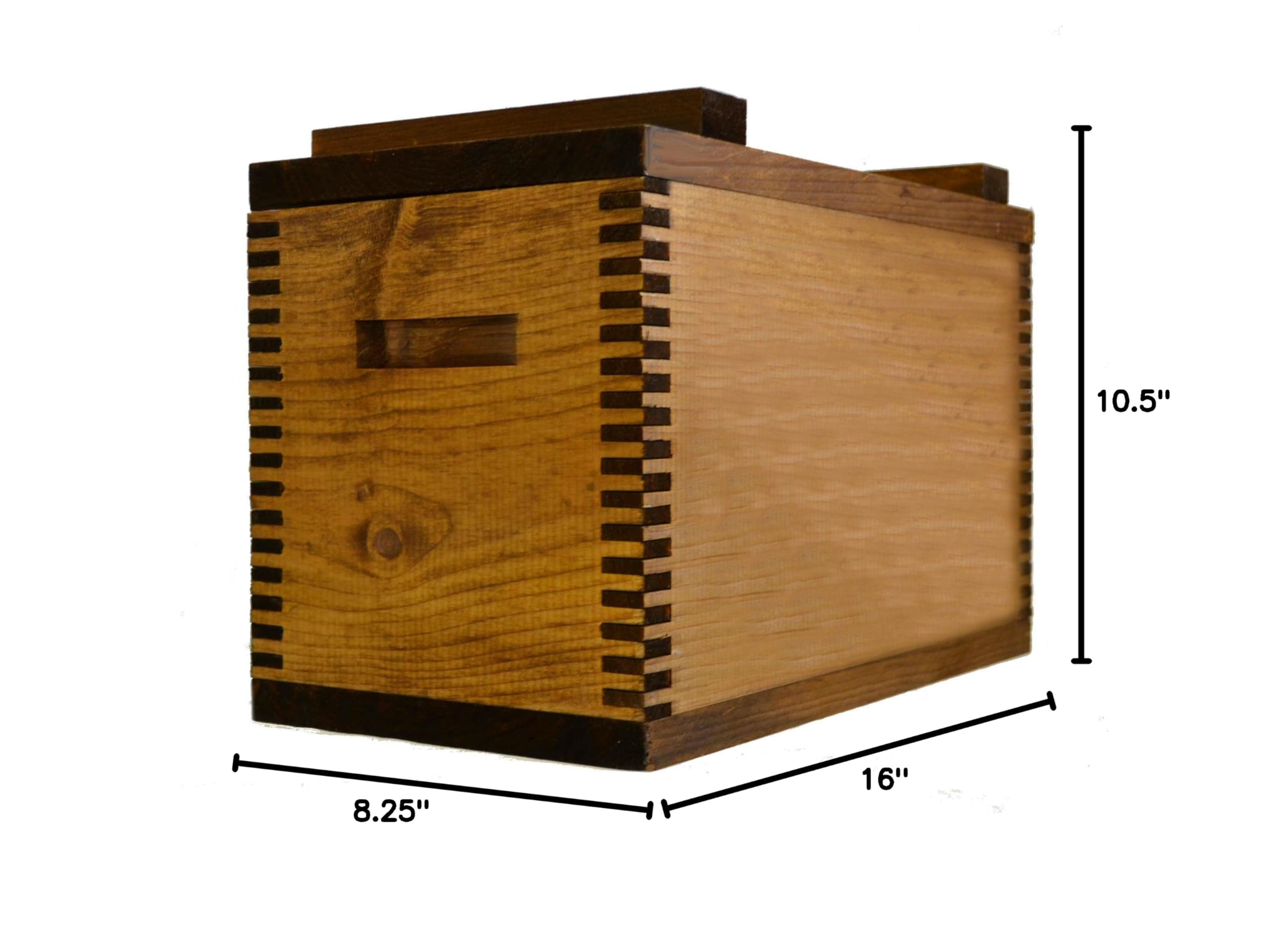 Standard Ammo Box - Durable Ammo Storage Case for Guns & Rifles - Perfect for Range Shooting, Hunting & Home Defense