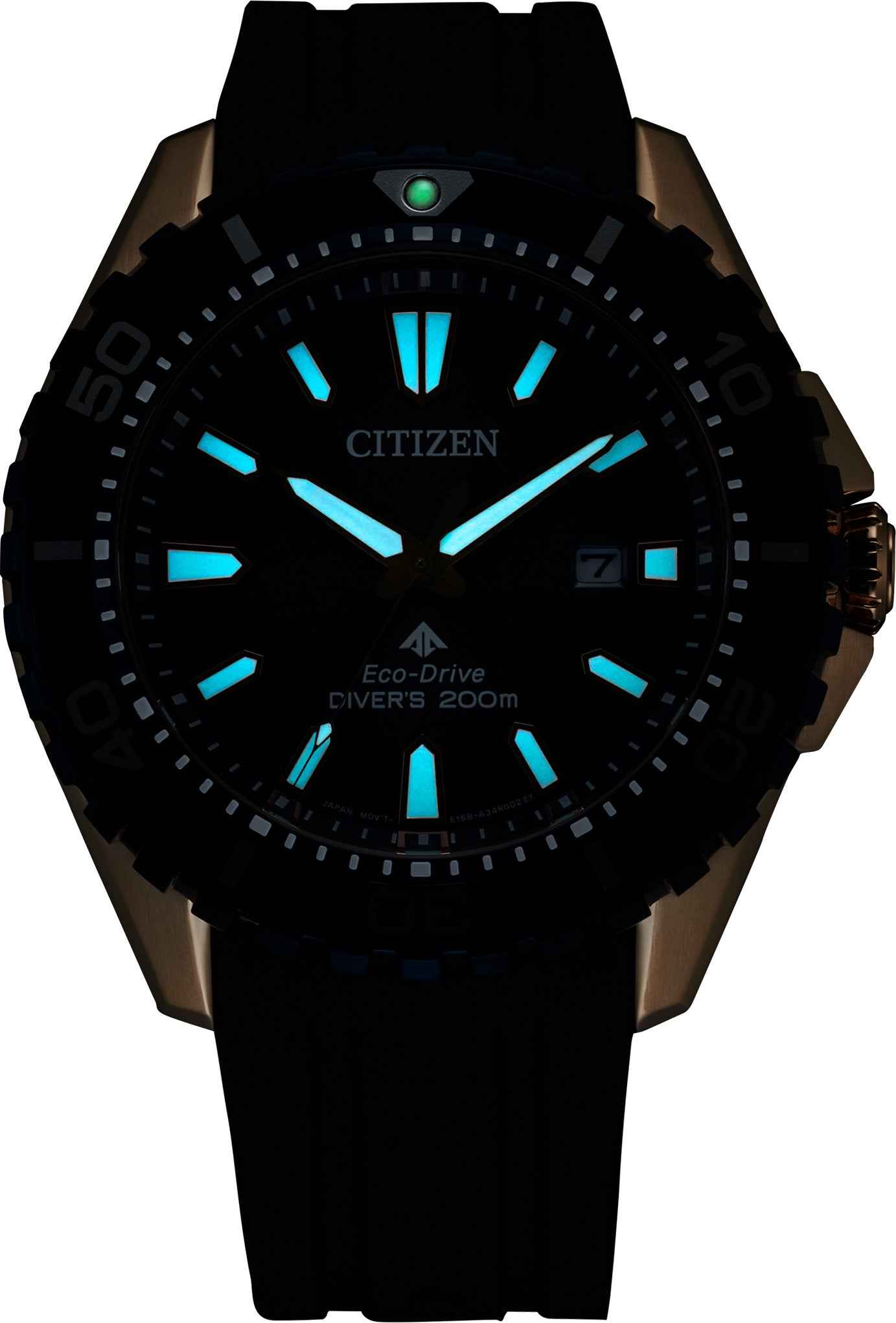 Promaster Dive Watch BN0196-01L - Professional Waterproof Diving Watch for Men - Perfect for Scuba Diving, Snorkeling & Water Sports