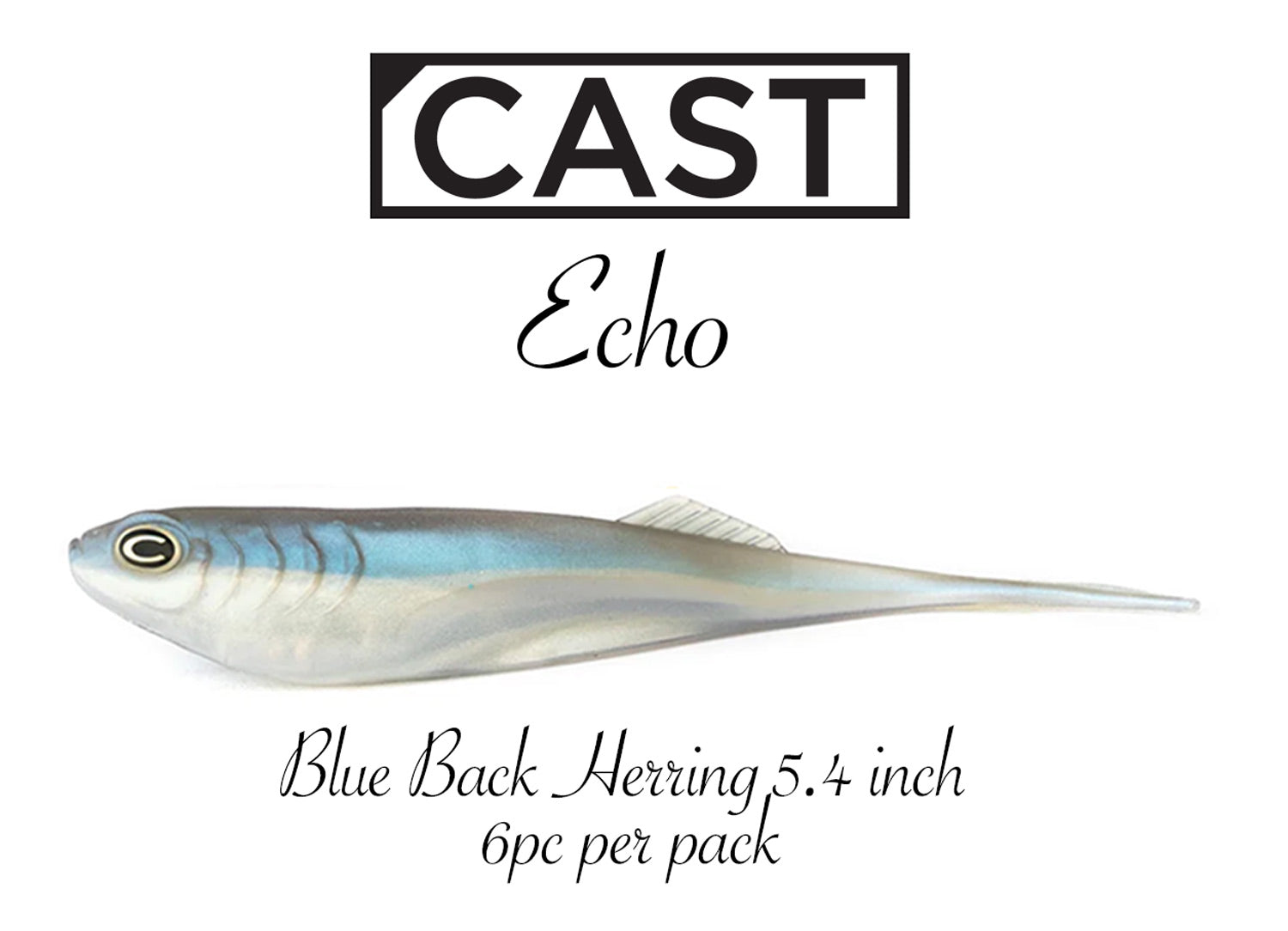 CAST Echo Soft Plastics - Premium Fishing Lures for Bass, Trout & Walleye | Slow Sinking Bait for Freshwater & Saltwater Fishing | Ideal for Casting, Jigging & Trolling Techniques