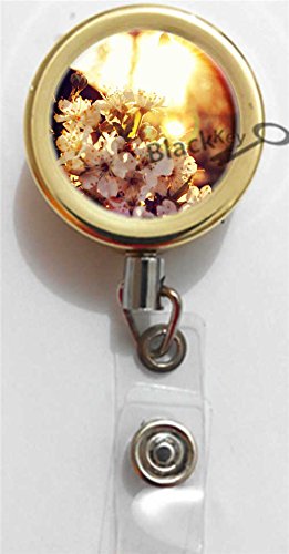BlackKey Gold ID Badge Holder with Retractable Reel & Lanyard - for Office & Events