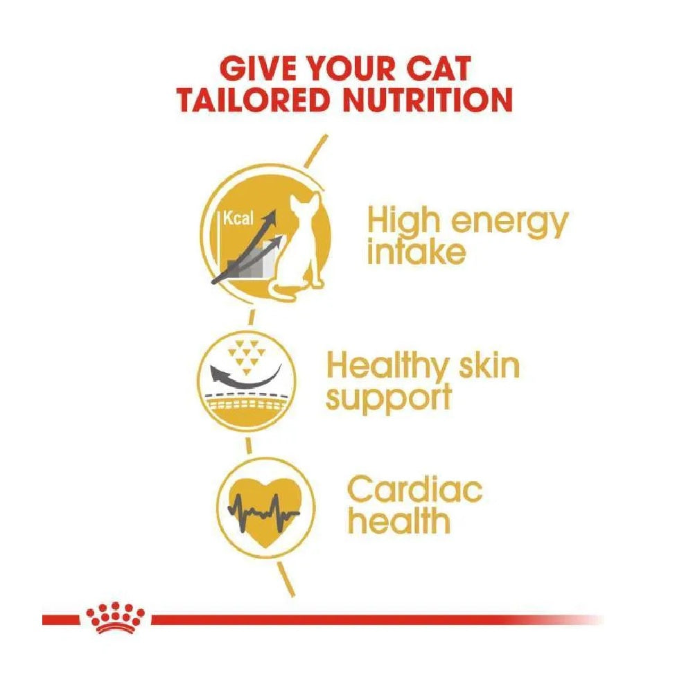 Premium FBN Sphynx Adult Cat Dry Food - Grain-Free High Protein Formula for Hairless Cats - Supports Skin & Digestive Health - Ideal for Indoor Sphynx Cats (5lb Bag)