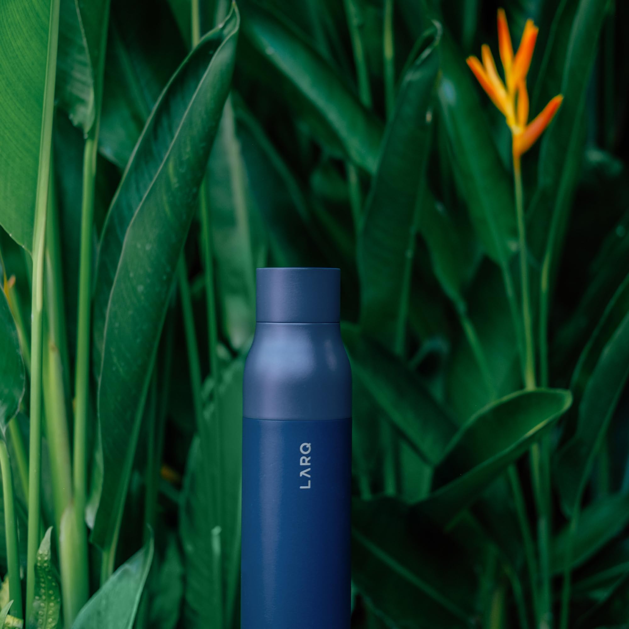 LARQ PureVis 25 oz Self-Cleaning Insulated Stainless Steel Water Bottle with UV Water Purifier | Award-Winning Design, Reusable & Travel Friendly | Monaco Blue | Perfect for Hiking, Gym & Daily Hydration