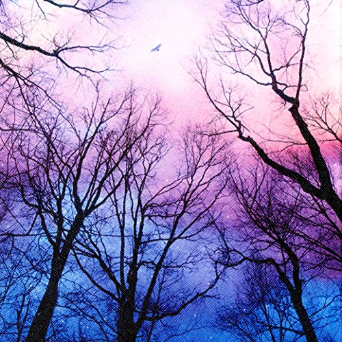 08 Purple Forest