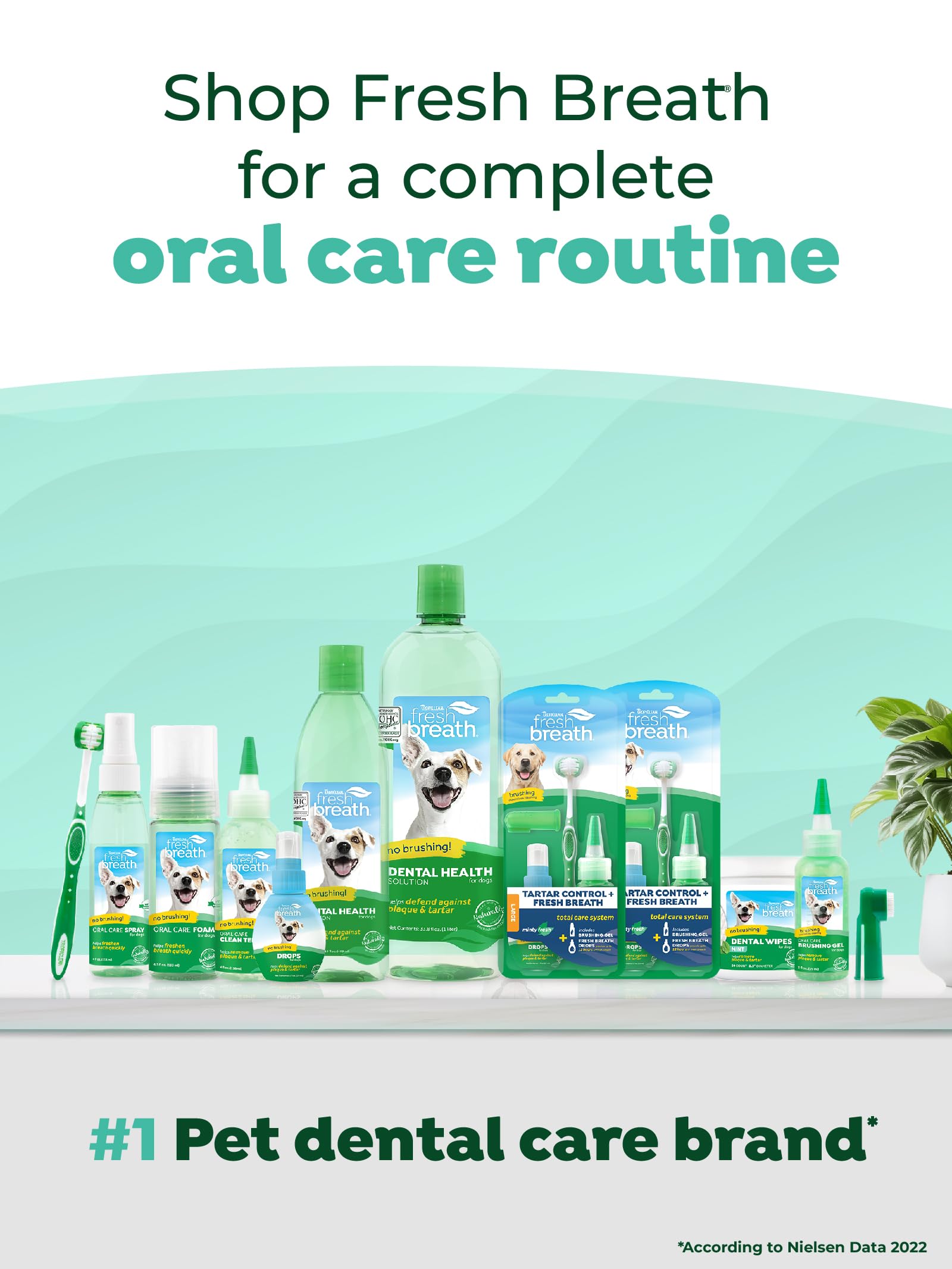 TropiClean Clean Teeth Gel for Dogs - Natural Dog Dental Care & Toothpaste | Freshens Breath & Fights Plaque | Made in USA | 2 oz | Perfect for Daily Oral Hygiene & At-Home Teeth Cleaning
