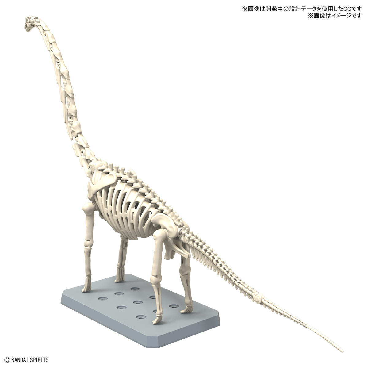 Bandai Plannosaurus Brachiosaurus Dinosaur Model Kit - Premium Collectible Building Set for Kids & Adults - Perfect for Home Decoration, School Projects & Dinosaur Enthusiasts