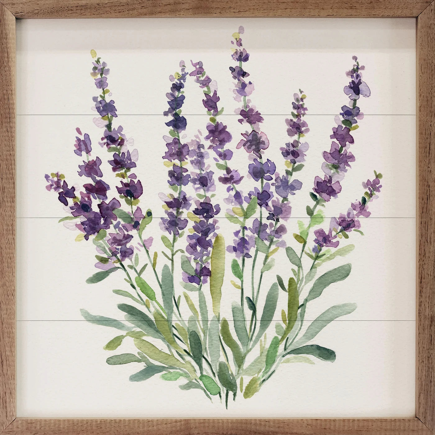 Lavender Botanical II By Carol Robinson - Framed Floral Wall Art Print for Home & Office Decor - Perfect for Living Room, Bedroom, or Gift