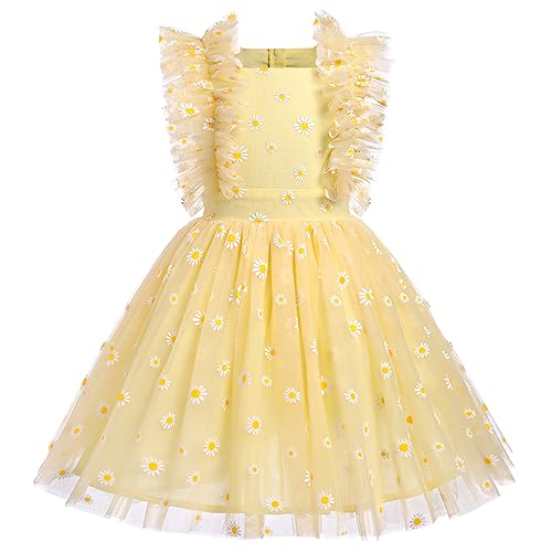 Daisy