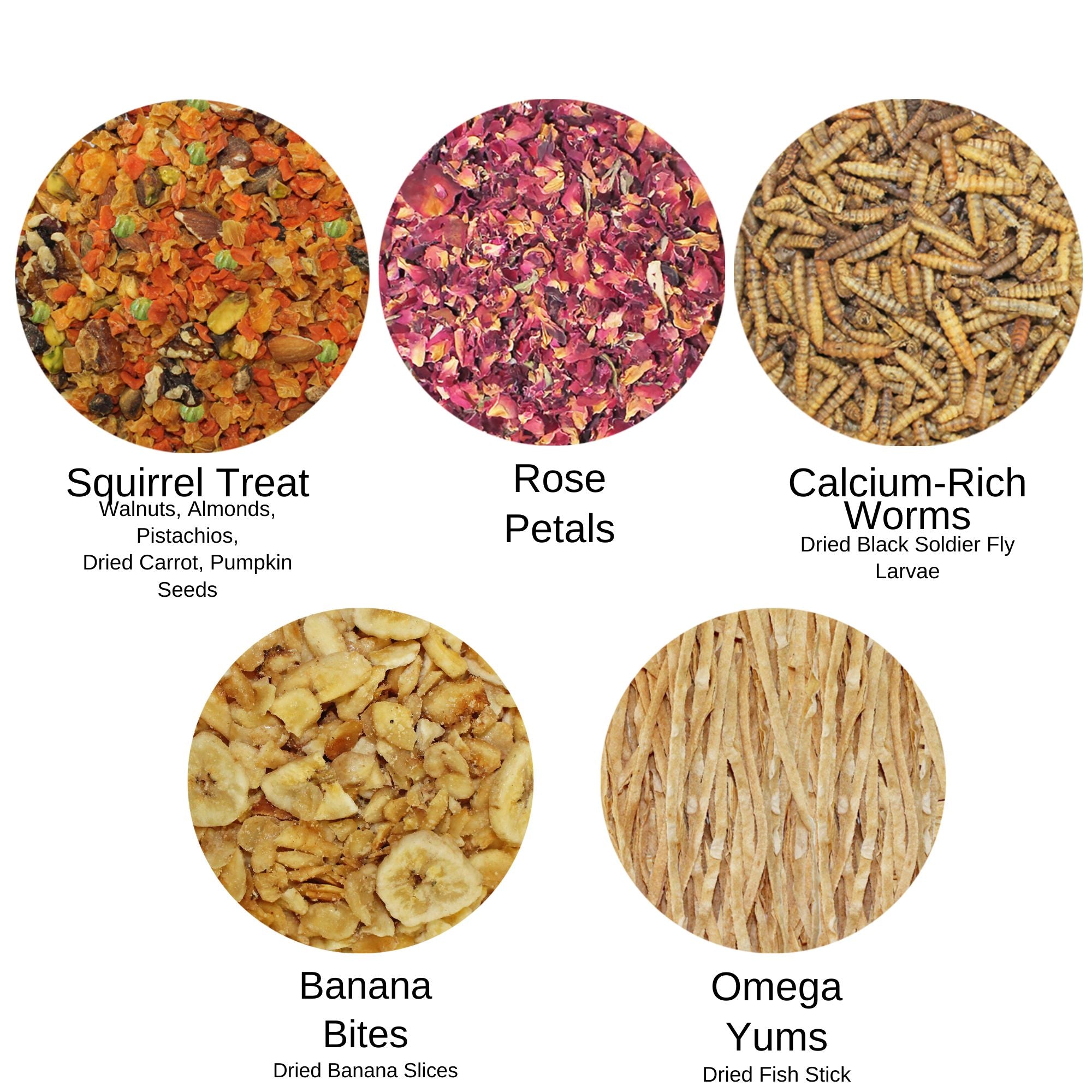 Premium Squirrel Treats Bundle - Natural Nut Mix for Wild Squirrels - Perfect for Backyard Feeding, Park Visits & Wildlife Watching