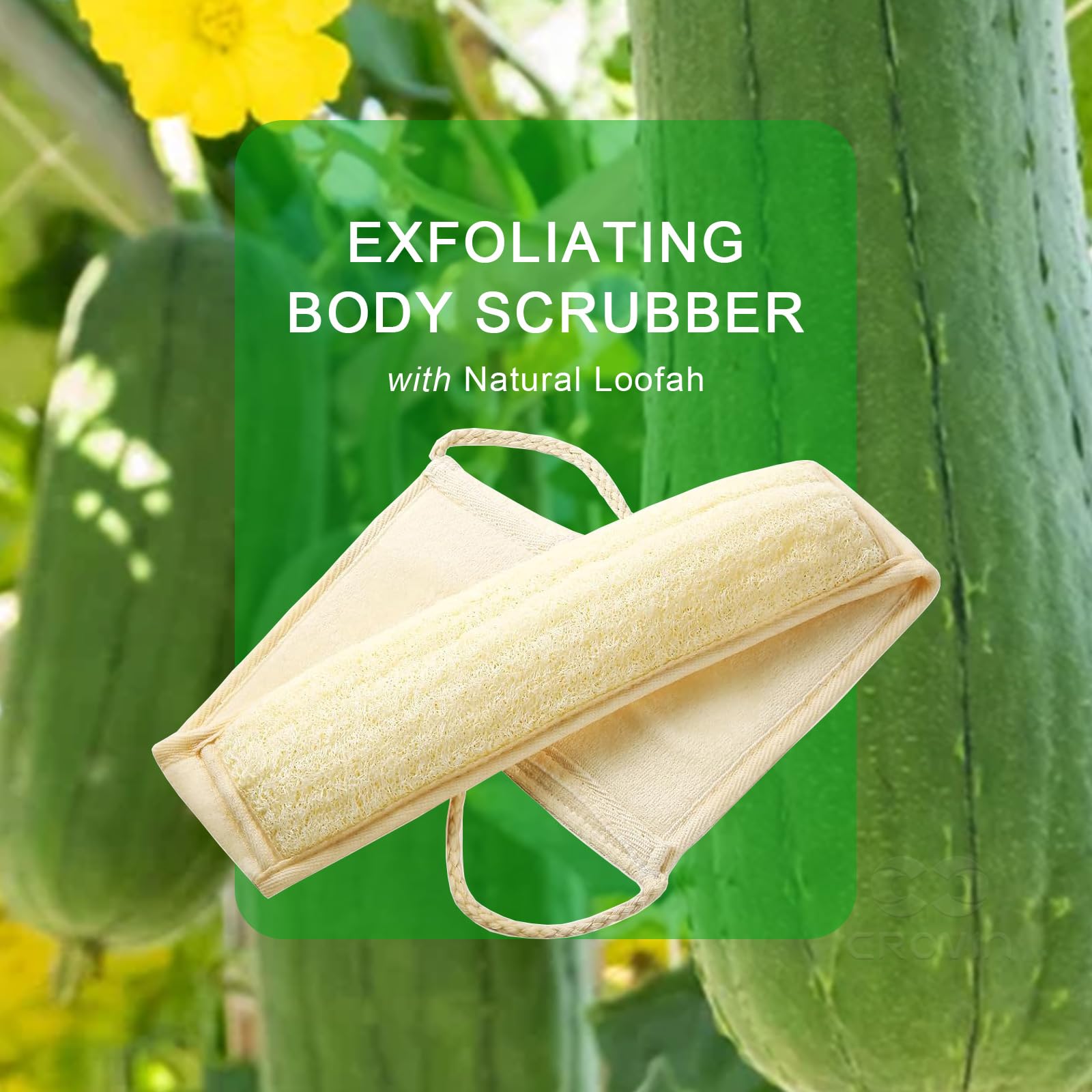 Natural Boar Bristle Dry Body Brush for Exfoliation & Cellulite - Spa Quality Bath Brush Set with Loofah, Face Brush & Pumice Stone - Perfect for Dry Brushing, Shower Exfoliation & Self-Care Routine (5-Piece Set)