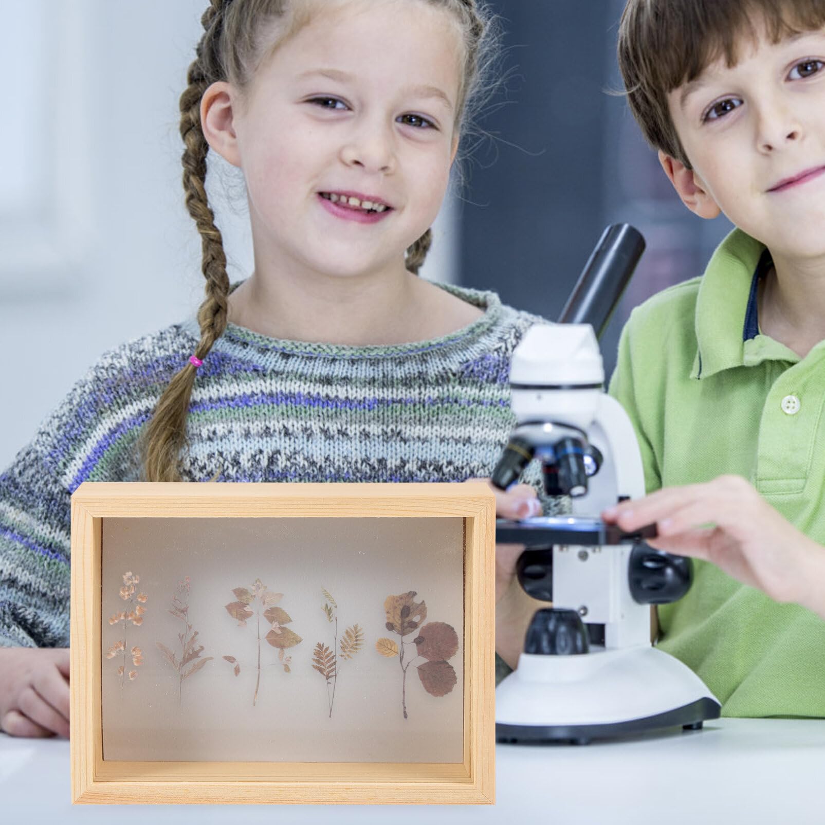 Butterfly Specimen Display Case - Entomology Shadow Box Frame for Butterfly Collections, Collages & Specimen Preservation | Perfect for Home Decor, Science Classrooms & Museum Exhibits