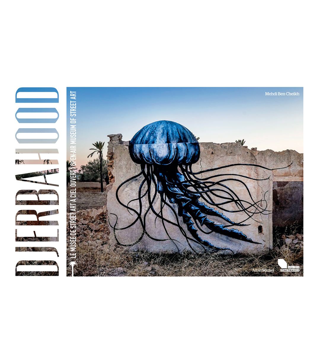 Djerbahood Open Air Street Art Museum - Explore Unique Outdoor Murals & Graffiti in Tunisia | Perfect for Art Lovers & Instagram Travel Photos