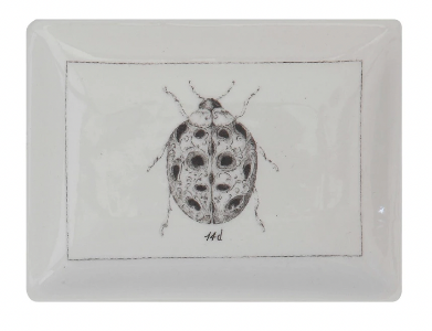 Premium Ceramic Dish with Insect Design - Set of 4 Unique Styles for Home Decor, Kitchen & Dining | Perfect for Serving Appetizers, Desserts or as Decorative Centerpiece