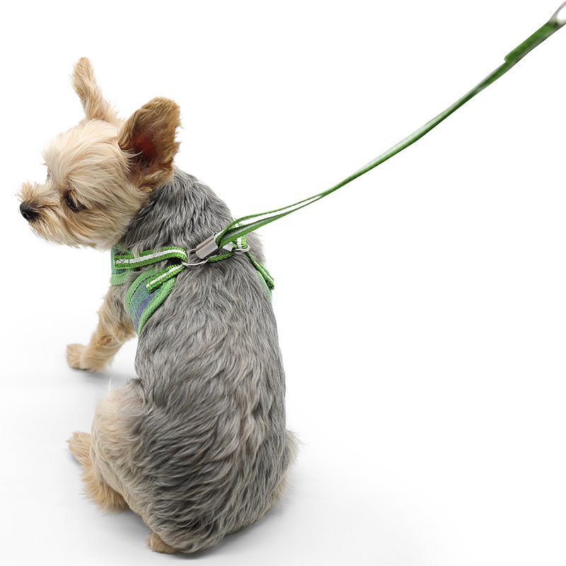 EasyGO Plaid Green Dog Harness - Adjustable & Reflective for Small to Medium Dogs - Perfect for Walking, Running & Outdoor Adventures