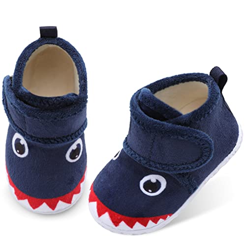 B Shark