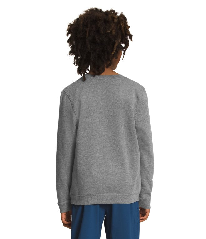 Heritage Patch Crewneck Sweatshirt for Big Kids & Teens | Cozy Casual Wear for School & Outings | NF0A7WY1
