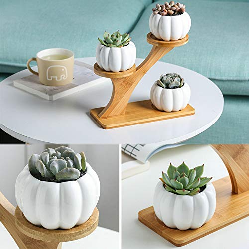 Pumpkin-Shaped Ceramic Succulent Planter with Bamboo Tray - Cute Home Decor for Fall & Halloween - Perfect for Tabletop, Windowsill, and Office Desk Decorations