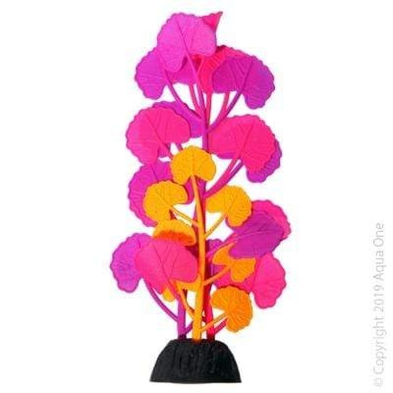 Aqua One Flexiscape Medium Pennywort Purple Pink Orange Live Aquarium Plant 17.5cm - Perfect for Freshwater Fish Tanks & Aquatic Decor