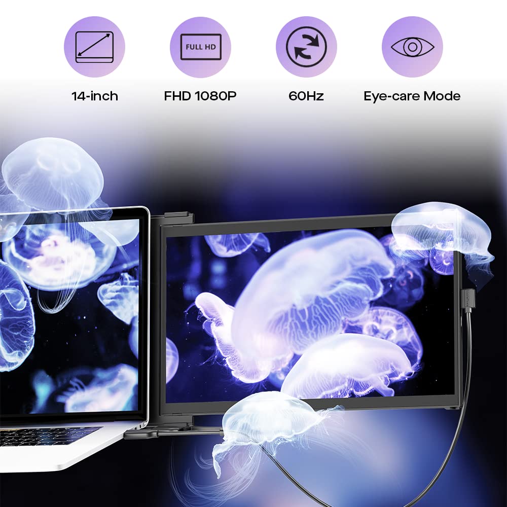2025 Mobile Pixels Duex Max DS 14.1