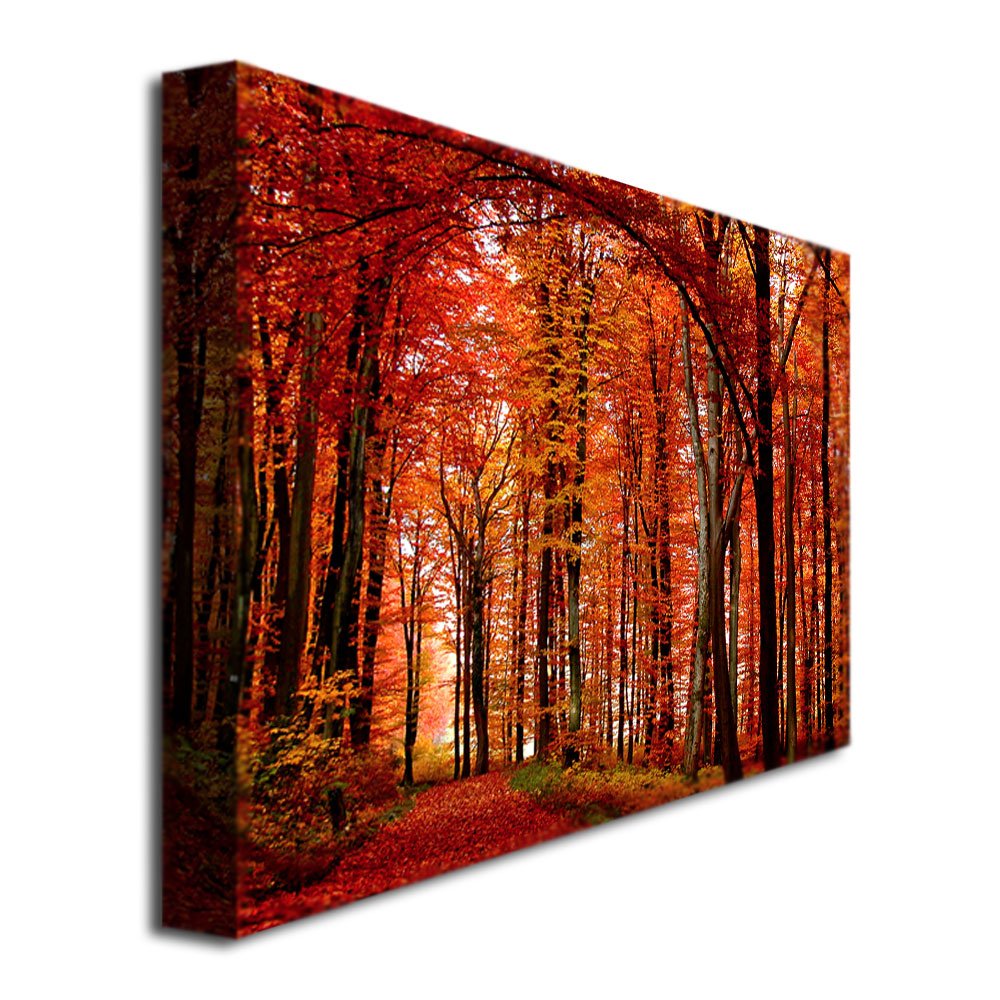 Philippe Sainte-Laudy The Red Way Canvas Art Print - Modern Abstract Wall Decor for Living Room, Bedroom & Office - Premium Framed Artwork for Home & Office Decor