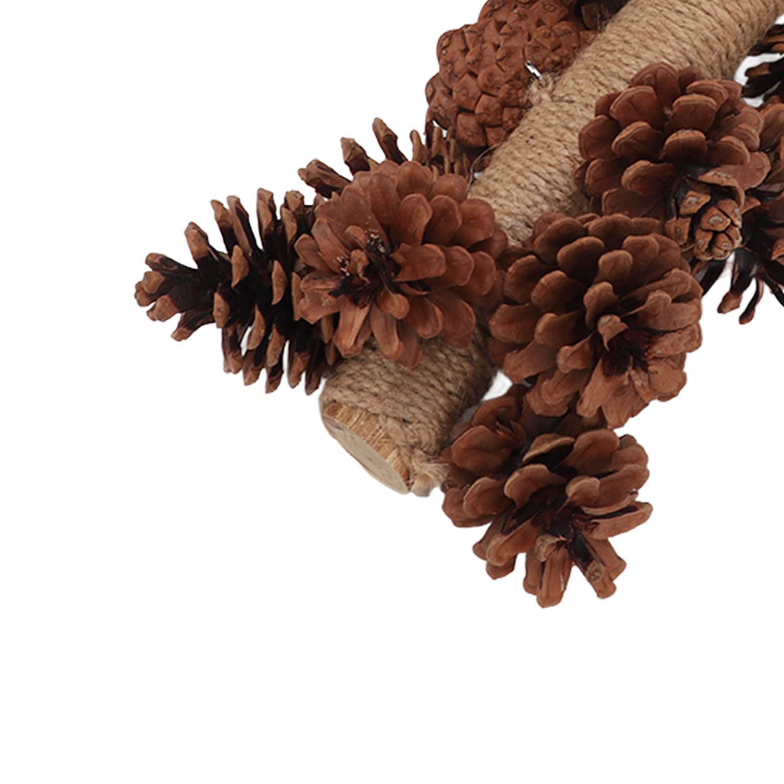 Tnfeeon Natural Wooden Pine Cone Chewing Toy for Parrots - Hanging Bird Cage Beak Grinding & Molar Toy - Perfect for Parrot Enrichment and Beak Maintenance