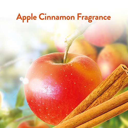 Air Wick Scented Oil Air Freshener Refills - Apple Cinnamon Medley Fragrance, 0.67oz Triple Pack (2-Pack) for Home, Office & Bathroom Odor Elimination