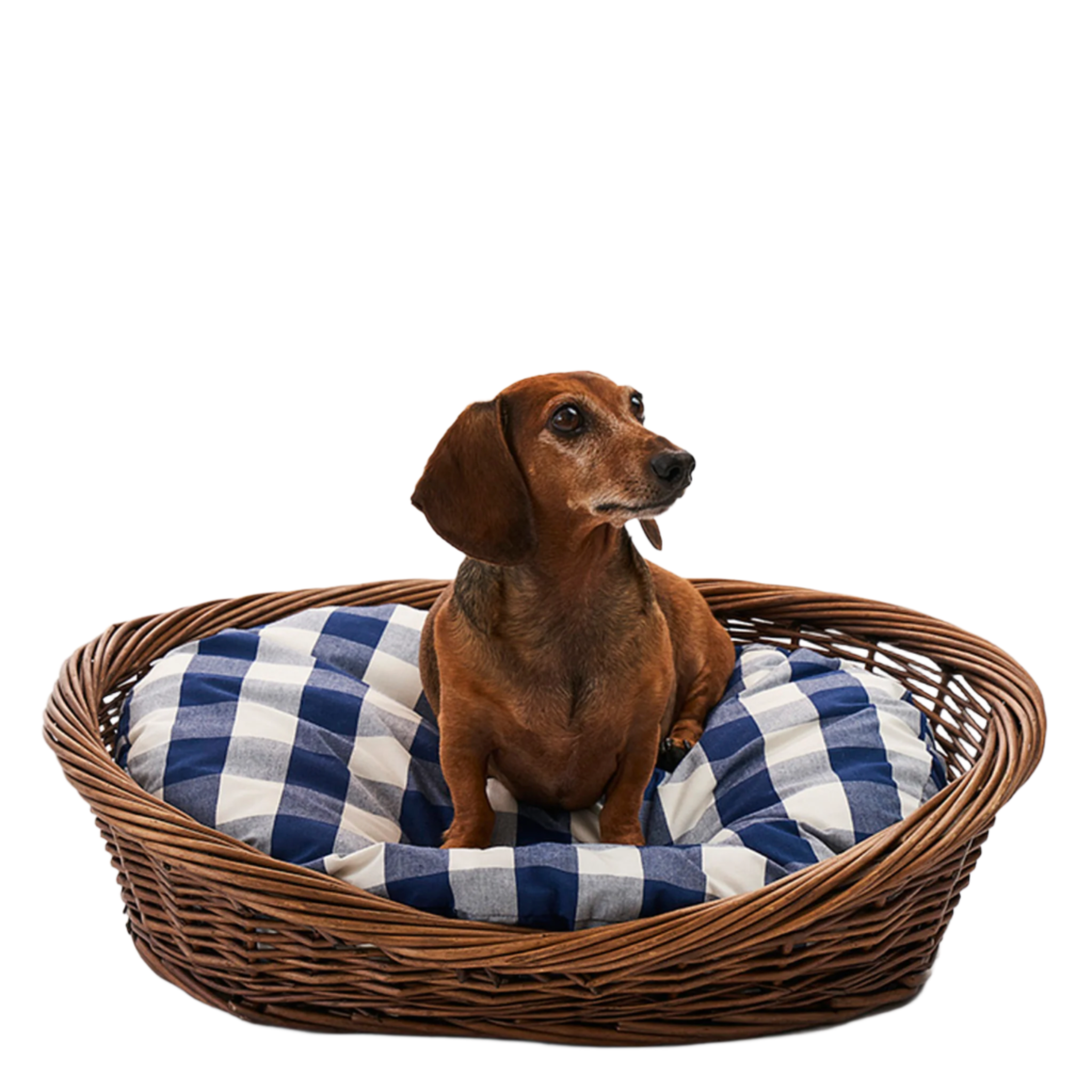 Premium Camden Cotton Check Dog Bed - Soft & Comfortable Pet Bed for Small to Medium Dogs - Perfect for Crates, Living Rooms & Bedrooms