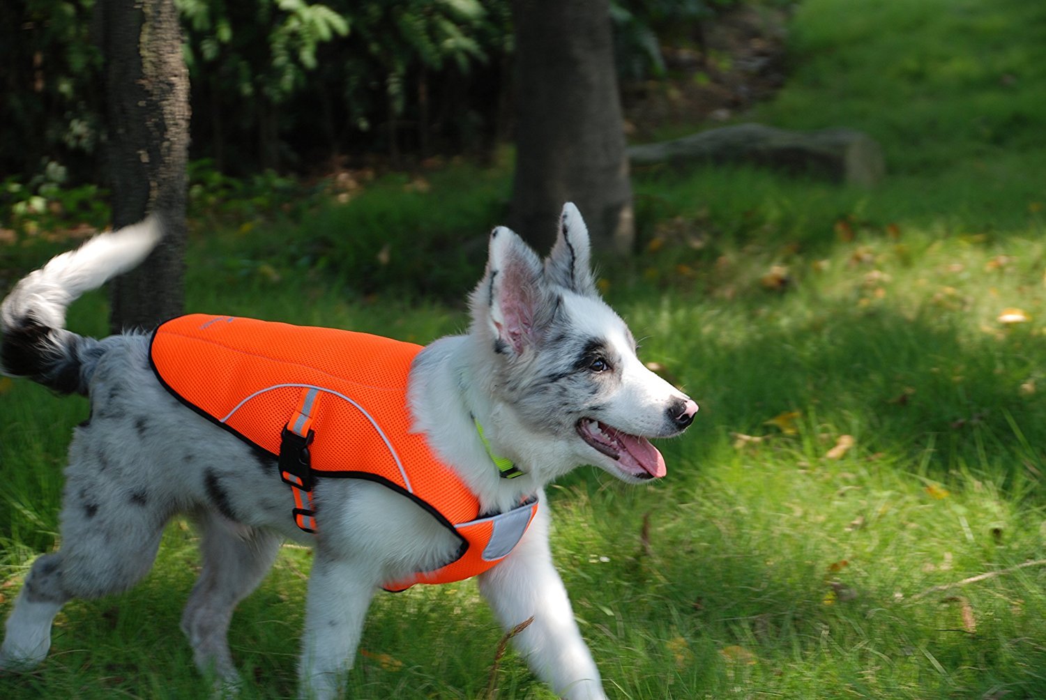 Adjustable Dog Cooling Vest - Reflective Hunting & Safety Jacket for Summer, Swamp Cooler Vest for Large Dogs - Perfect for Outdoor Adventures, Hiking & Hot Weather Protection