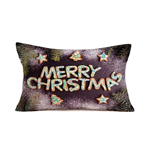 Merry Christmas Biscuits