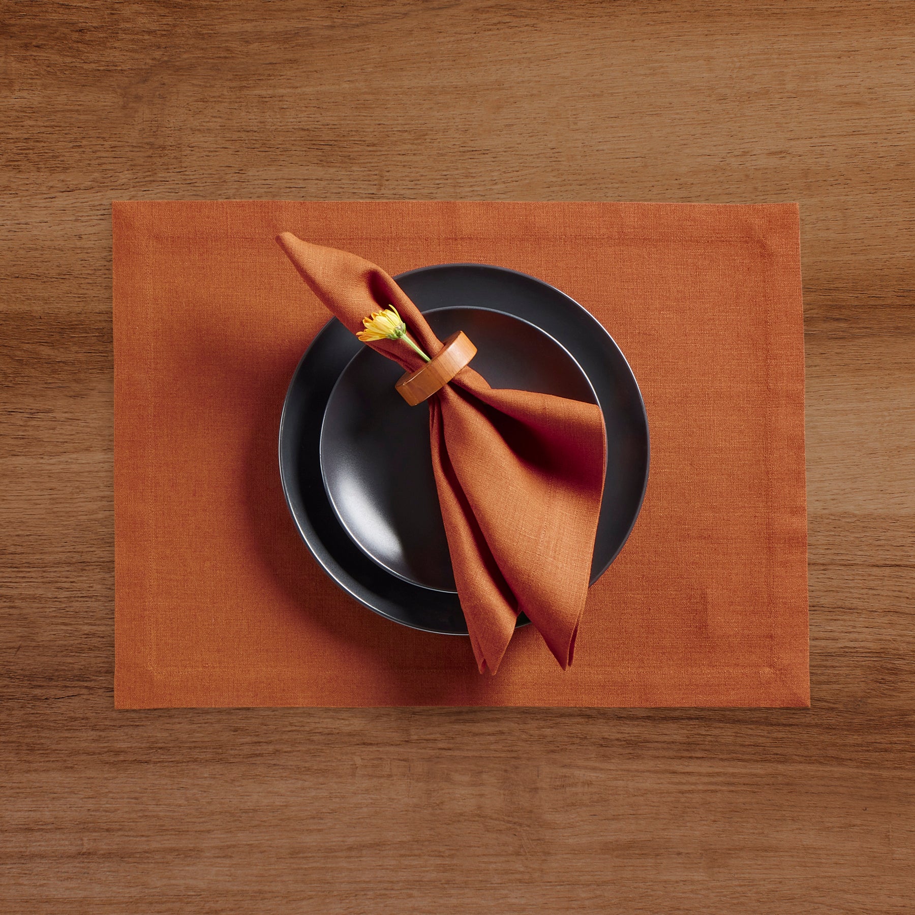 Premium Diana Medium Weight Placemats Set of 4 - Elegant Table Setting for Dining Room, Kitchen & Holiday Decor - Washable & Durable Place Mats for Everyday Use