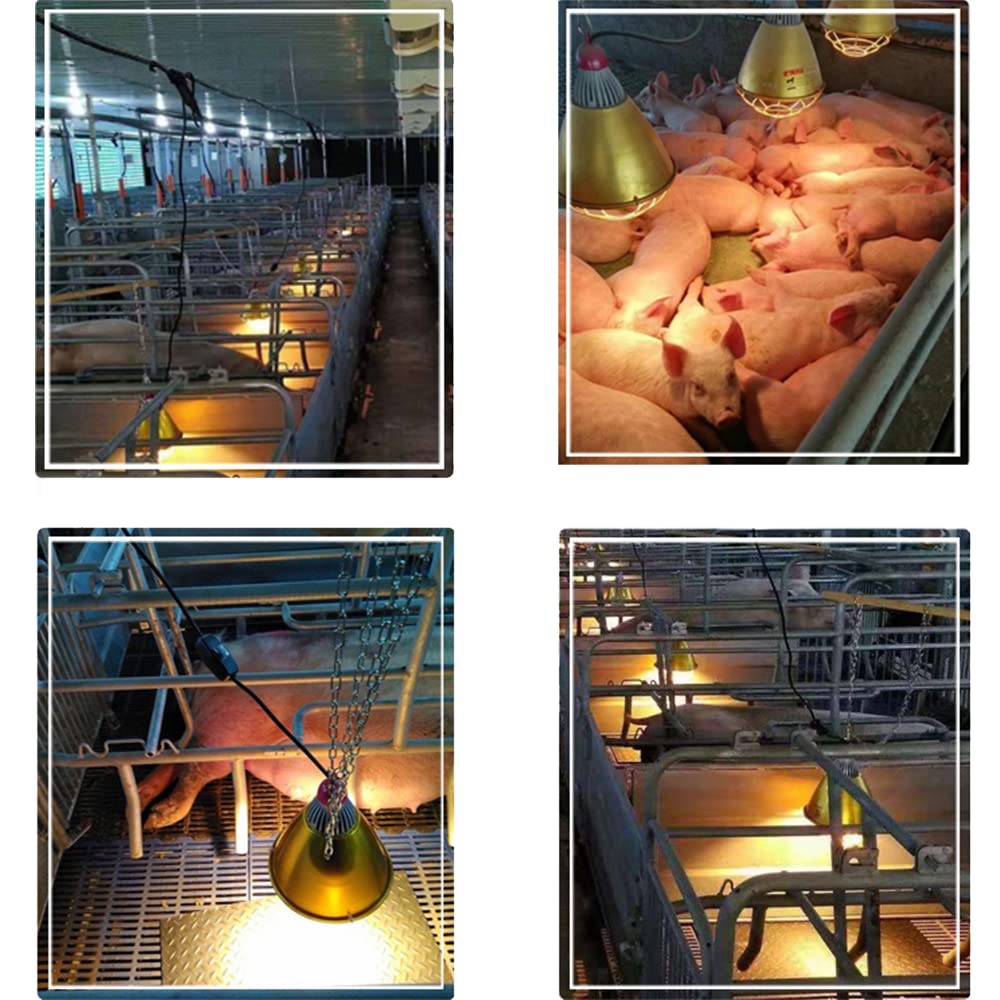 MIUPOO 175W Poultry Heater Lamp - Chicken Coop Heating Light for Pet, Livestock & Plant Care - Durable Warm Lamp Shade for Animal Husbandry & Breeding - Perfect for Winter Chicken Coops, Reptile Tanks & Greenhouse Plants