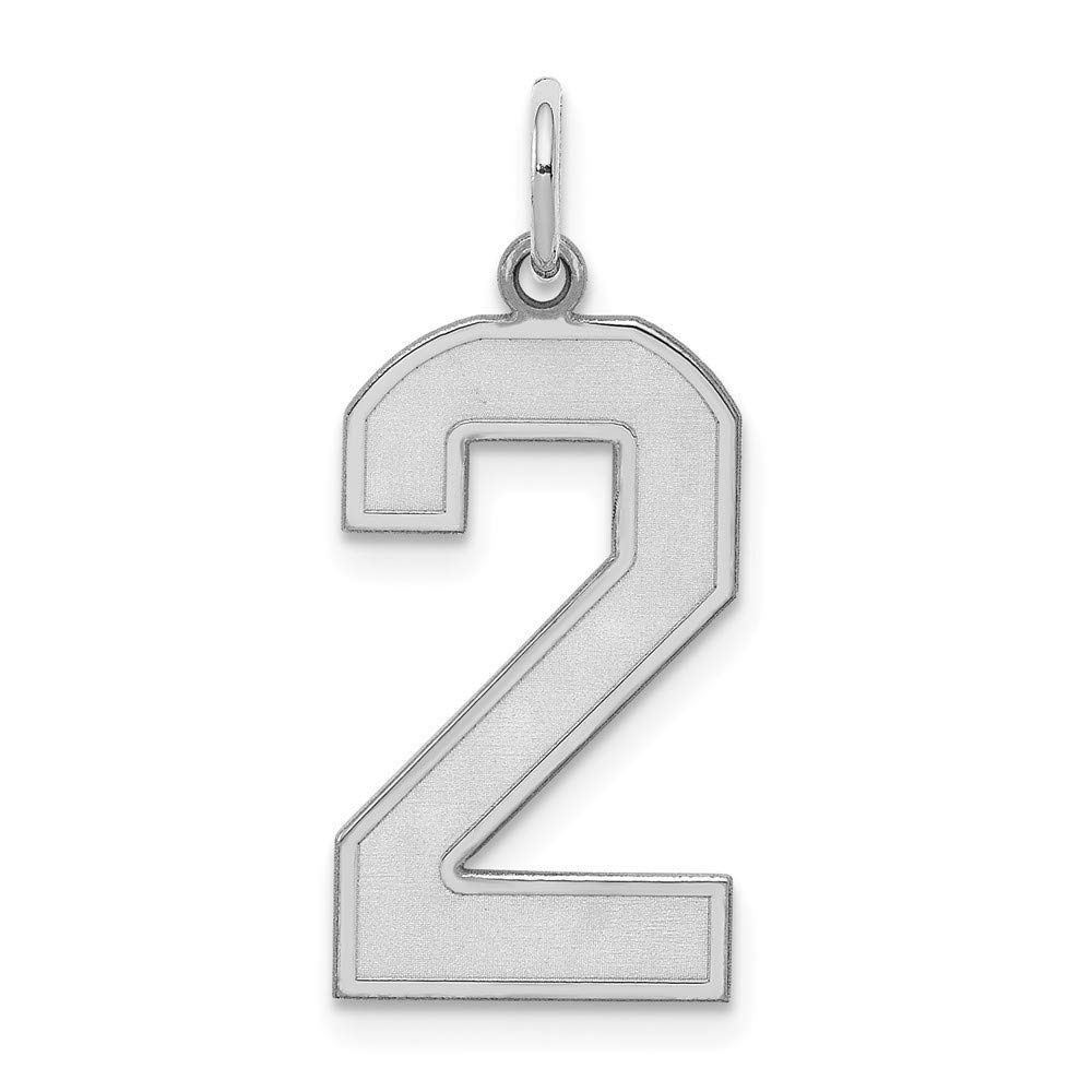 Roy Rose Sterling Silver Large Satin Number 2 Pendant Necklace - Perfect for Birthdays, Anniversaries & Personalized Gifts