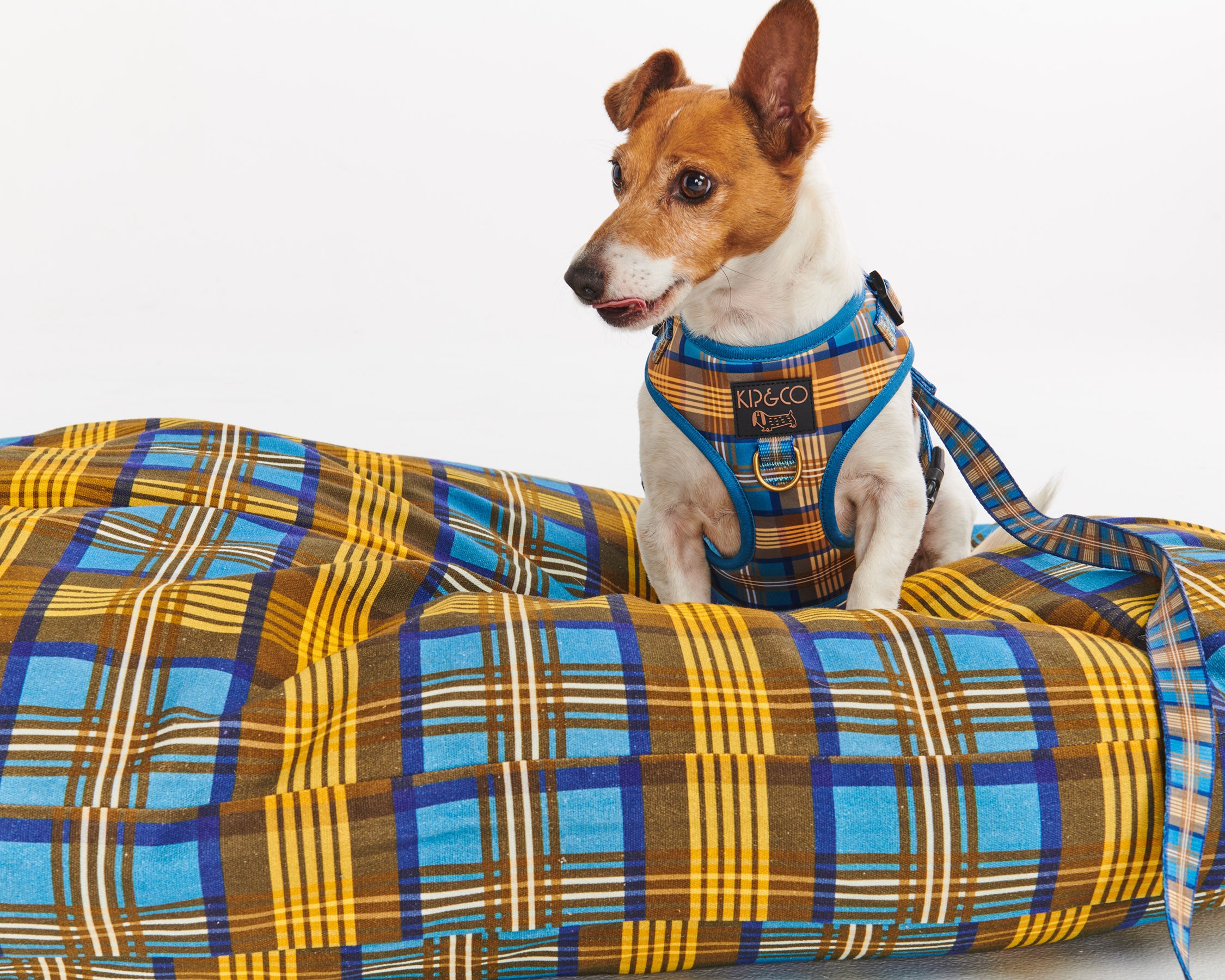 Cozy Tartan Dog Harness - Adjustable Soft Plaid Pet Vest for Small & Medium Dogs - Perfect for Walking, Hiking & Outdoor Adventures