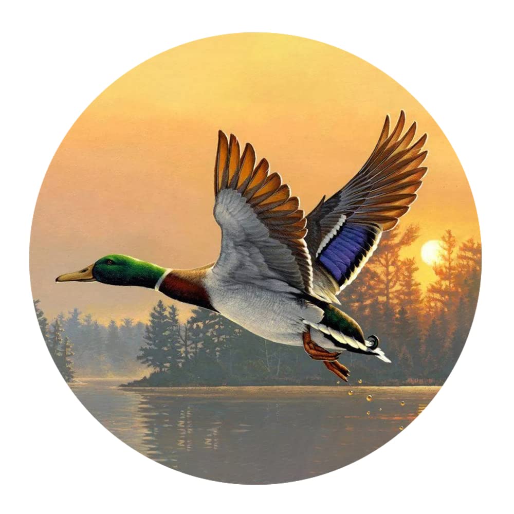 300 Piece Animal Series Wall Art Puzzle - Mallard Duck Poster Puzzle, Round Wooden Puzzle for Adults & Kids, Stress Relief & Educational Toy, Perfect for Family Bonding & Home Decor