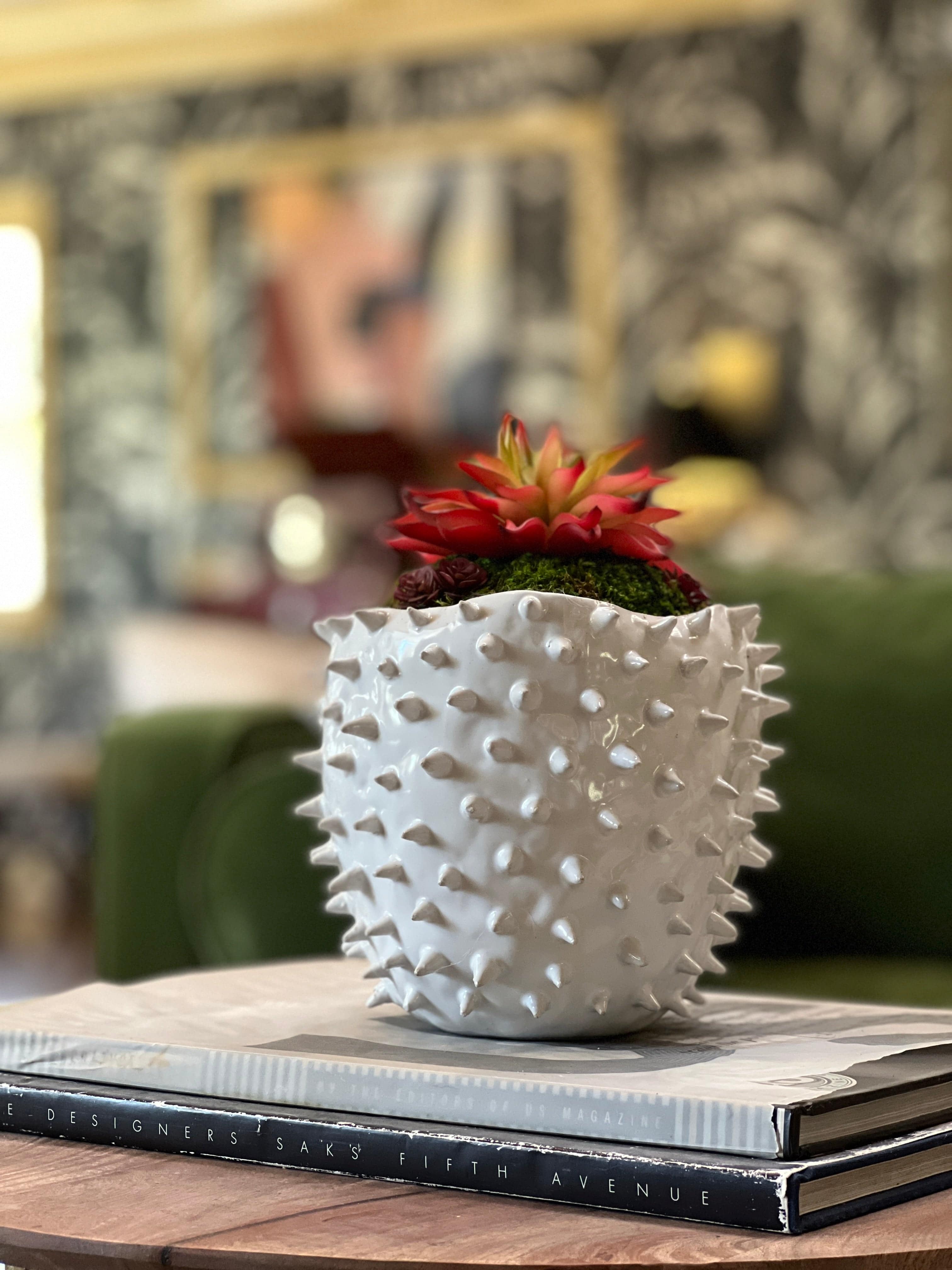 Spiked Succulent Pots - Unique Metal Planters for Cacti & Succulents | Perfect for Home Decor, Office Desk & Garden Arrangements